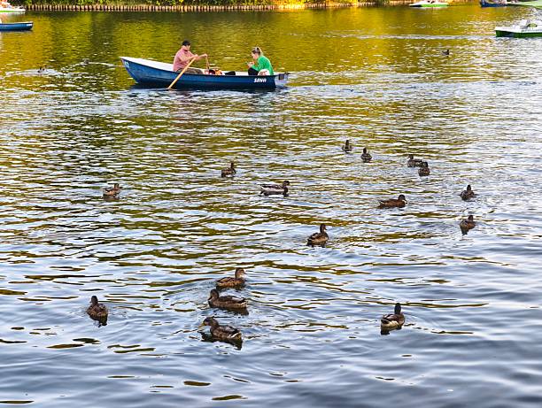 Kayak or SUP on a northern lake with visible wind texture