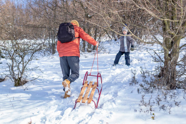 Winter trail or ski track through snowy trees